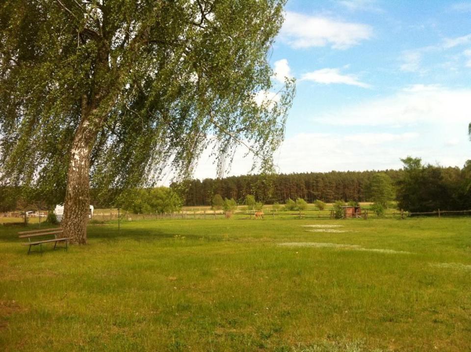 Landhotel Am Peetscher See Mirow Dış mekan fotoğraf